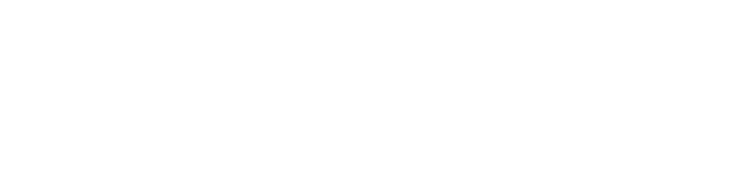 Zebel logo